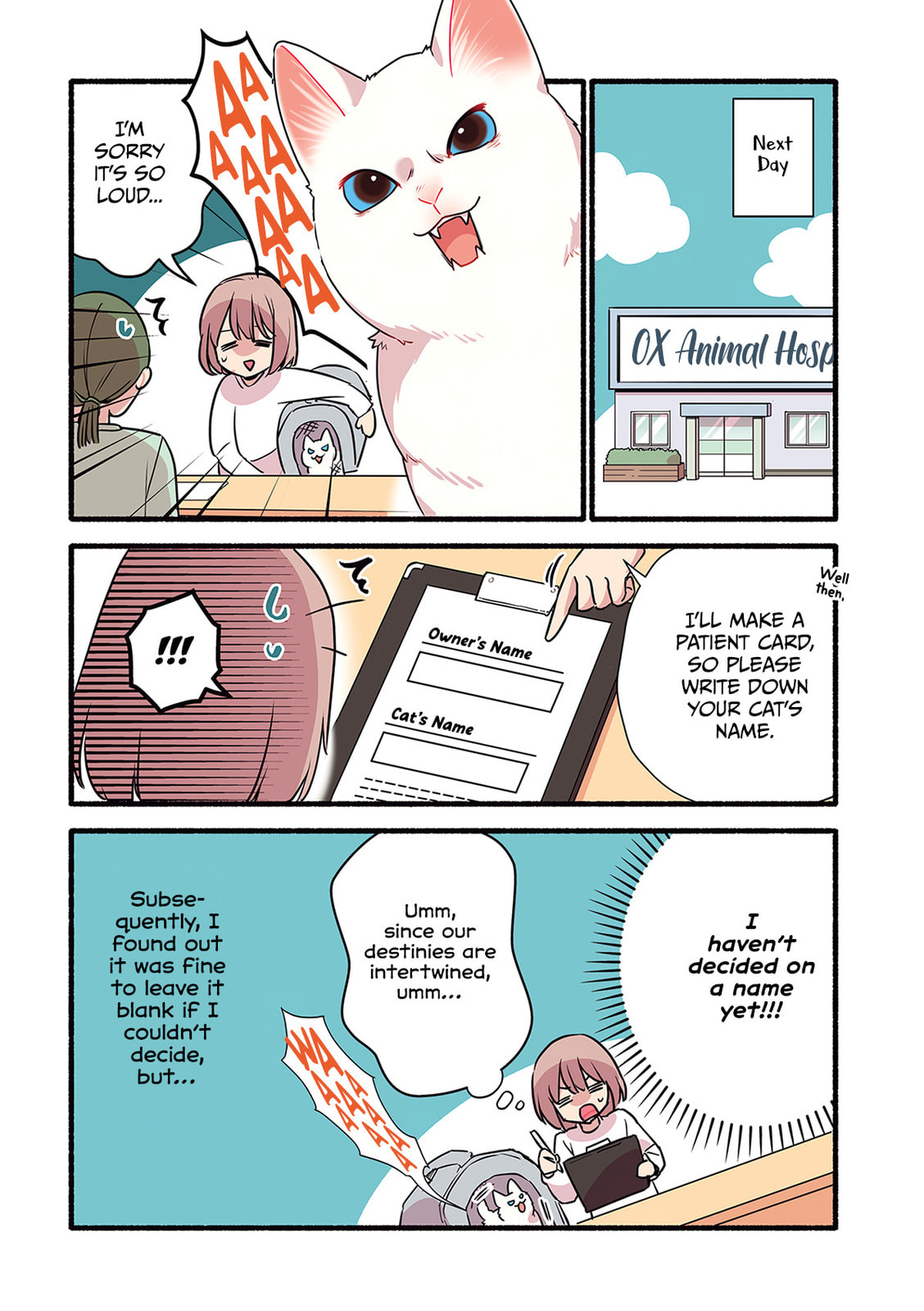 Miko, A White Cat That Wants To Be Loved