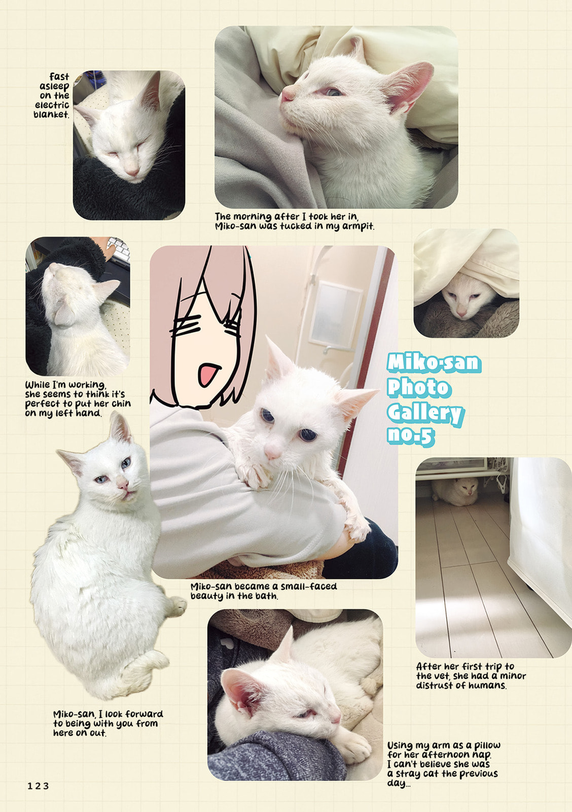 Miko, A White Cat That Wants To Be Loved