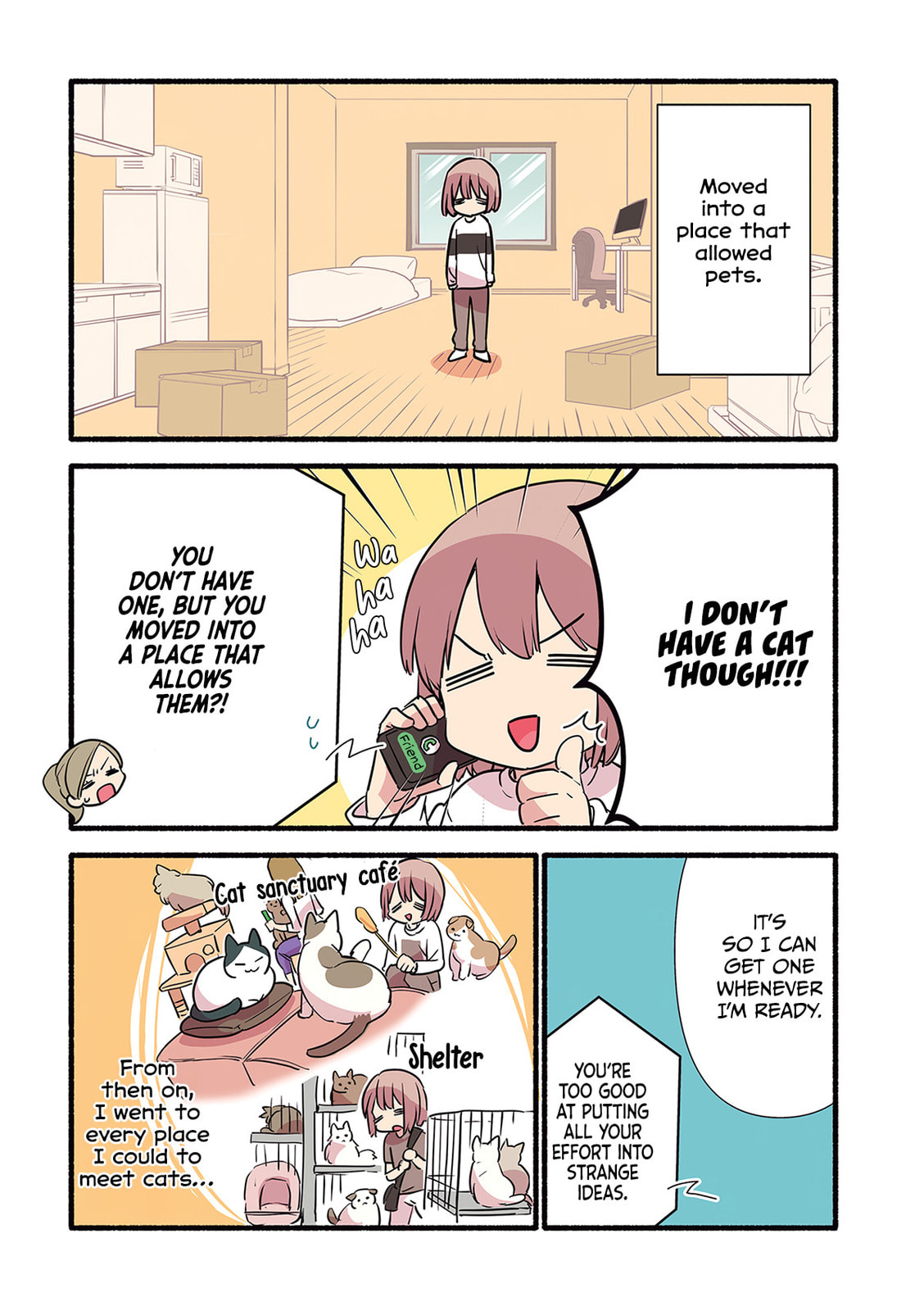 Miko, A White Cat That Wants To Be Loved