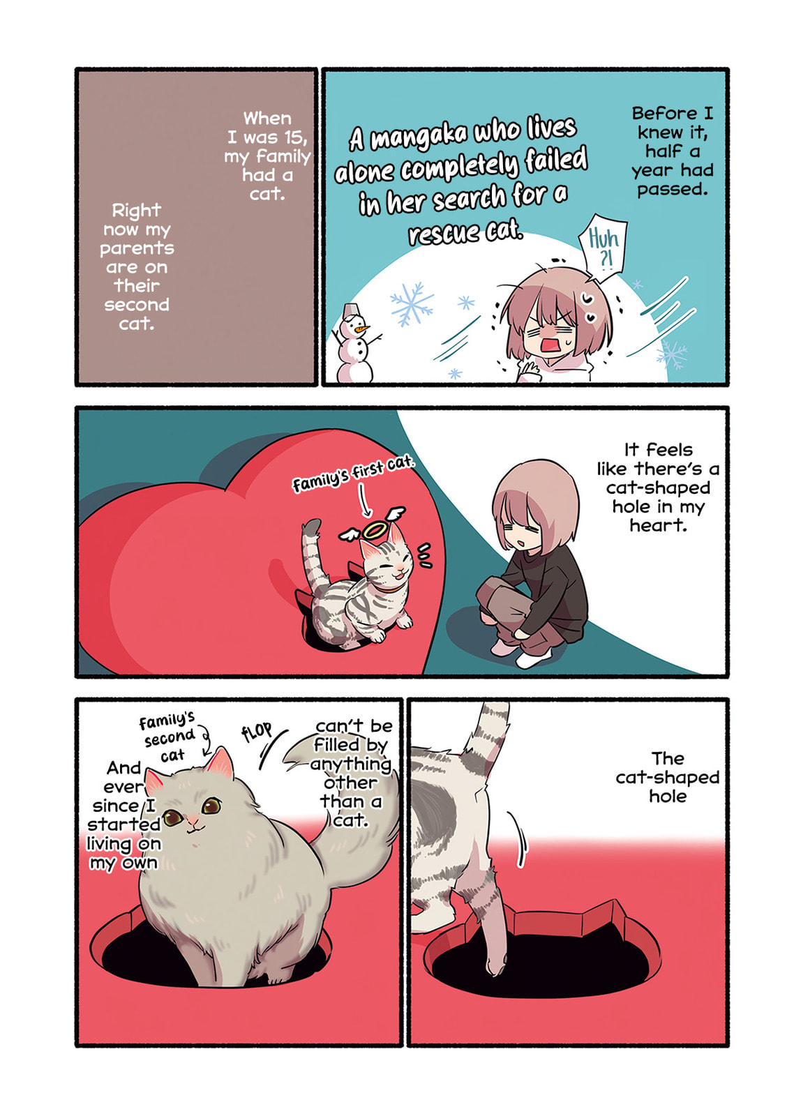 Miko, A White Cat That Wants To Be Loved