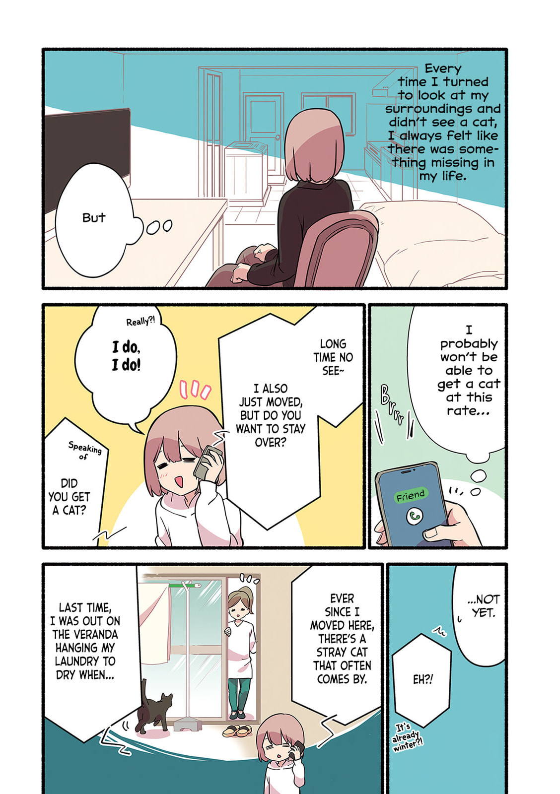 Miko, A White Cat That Wants To Be Loved