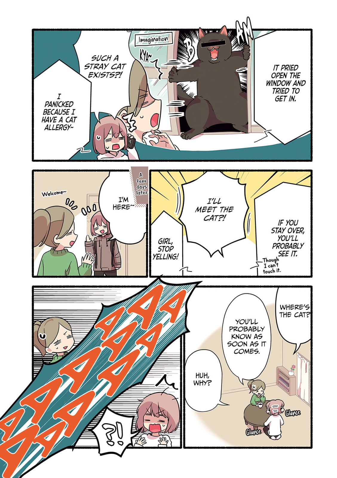 Miko, A White Cat That Wants To Be Loved