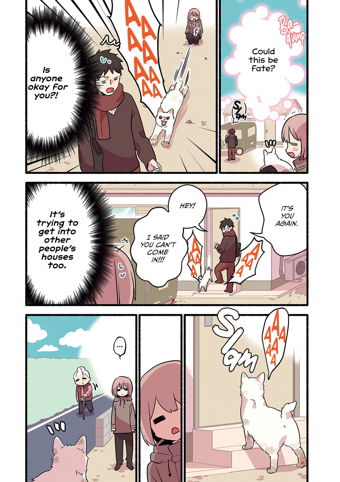 Miko, A White Cat That Wants To Be Loved