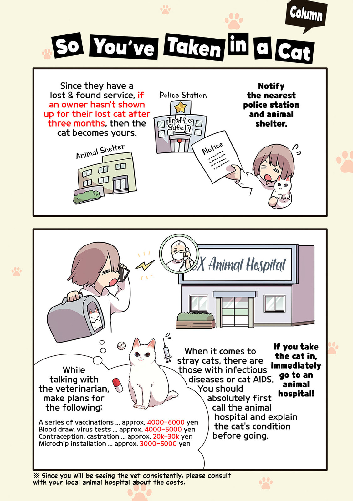 Miko, A White Cat That Wants To Be Loved