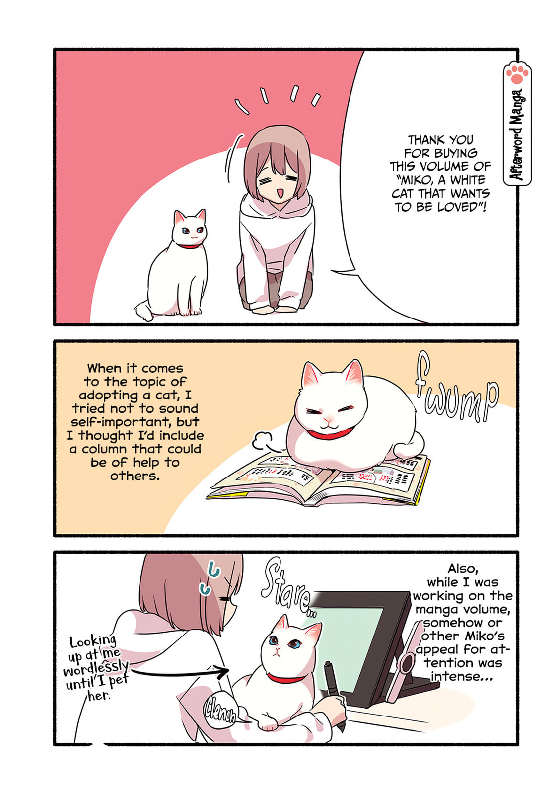 Miko, A White Cat That Wants To Be Loved