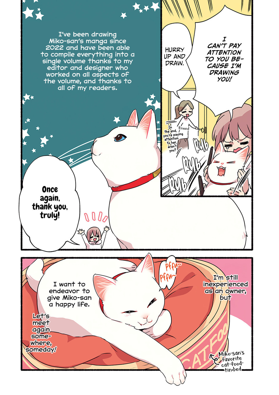 Miko, A White Cat That Wants To Be Loved