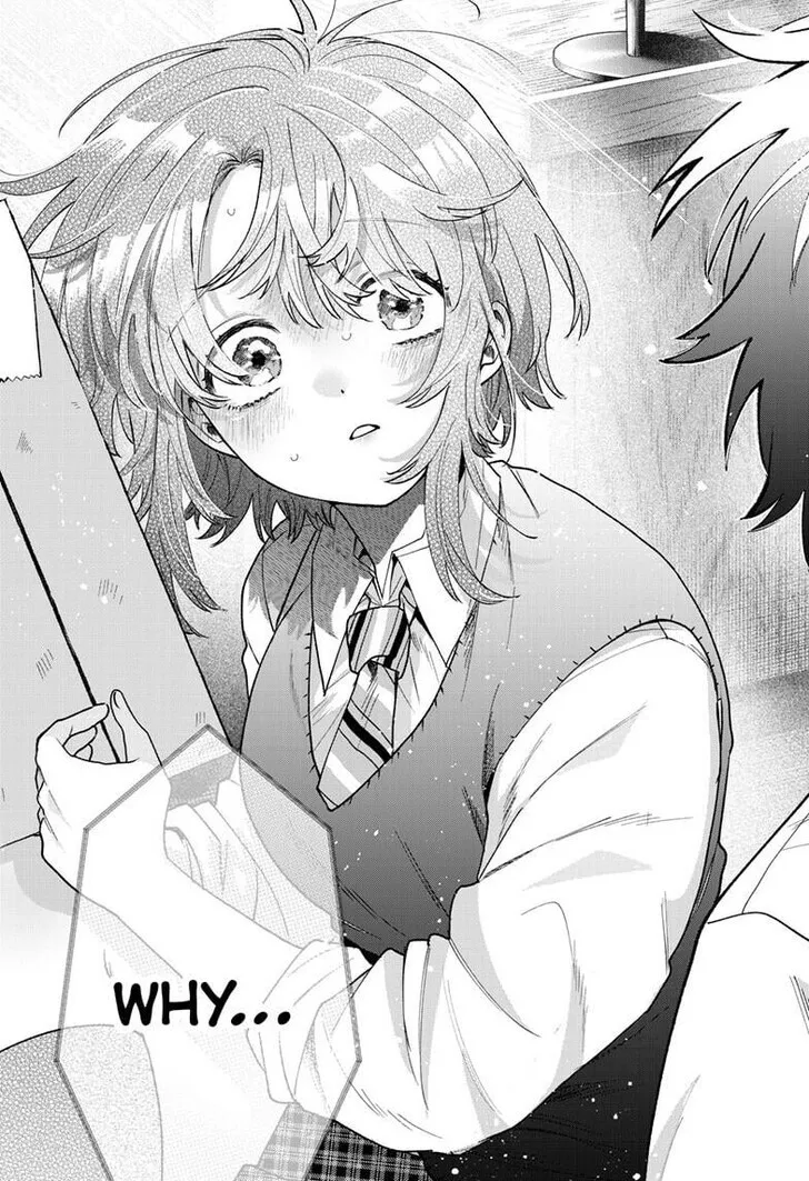 Momose Akira no Hatsukoi Hatan-chuu
