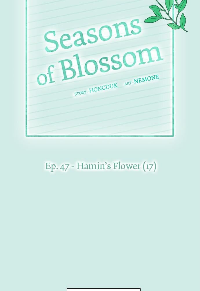 Seasons of Blossom