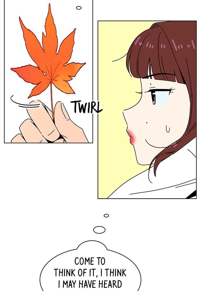 Seasons of Blossom