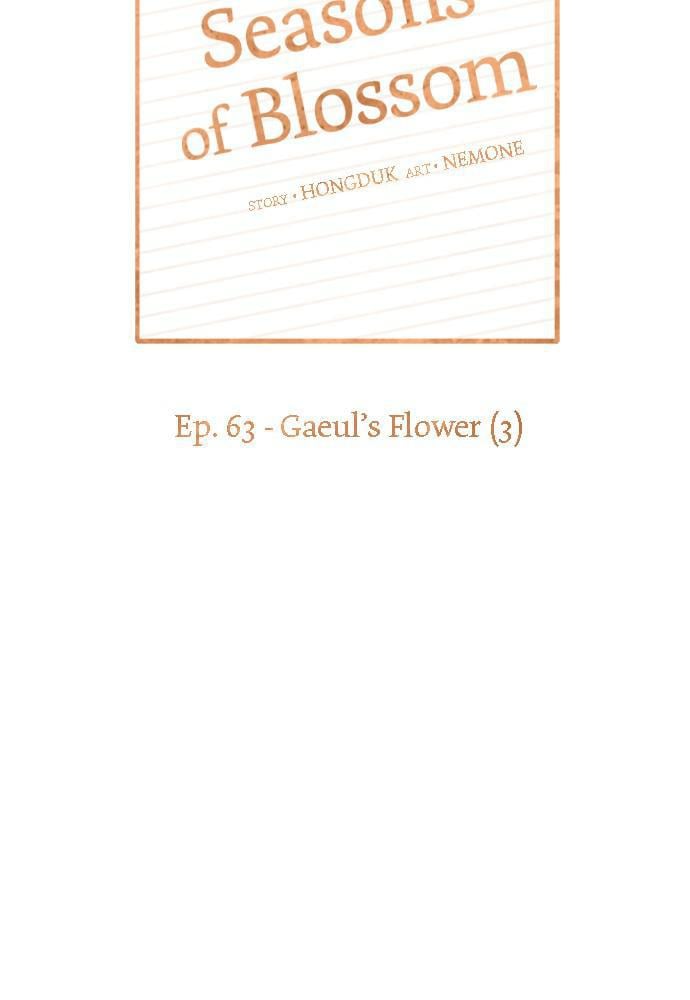 Seasons of Blossom