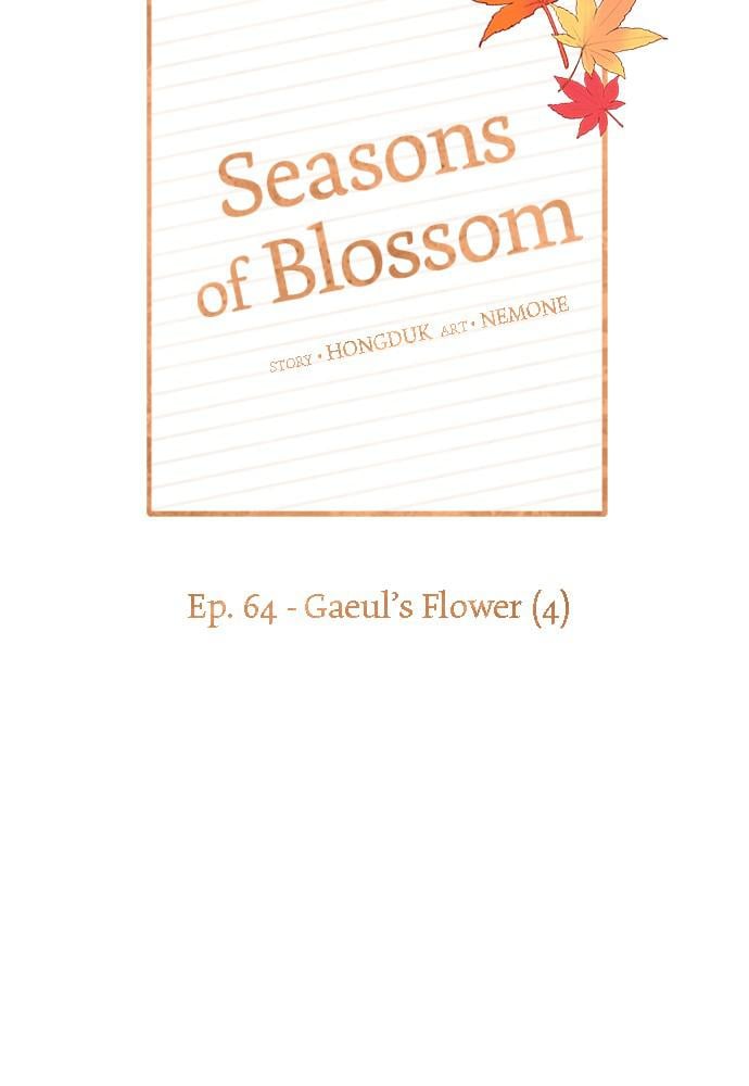 Seasons of Blossom
