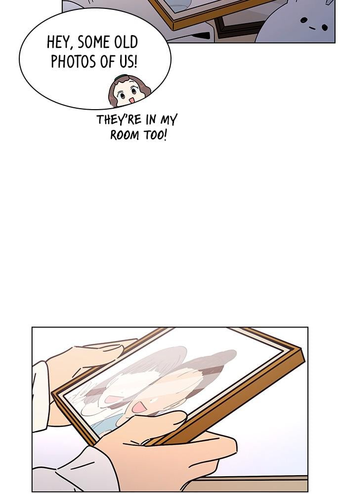Seasons of Blossom
