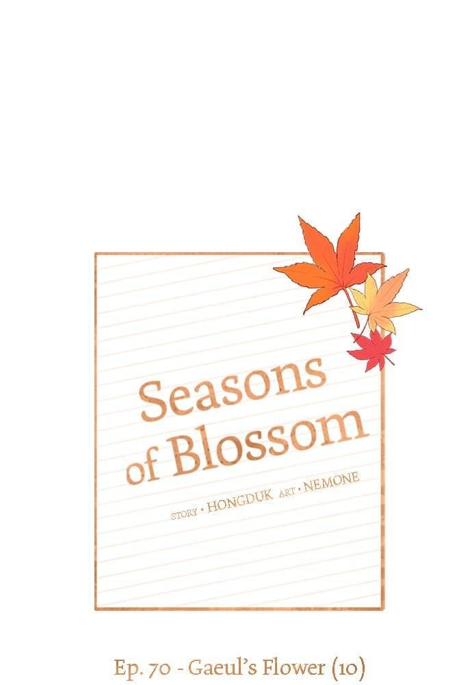 Seasons of Blossom