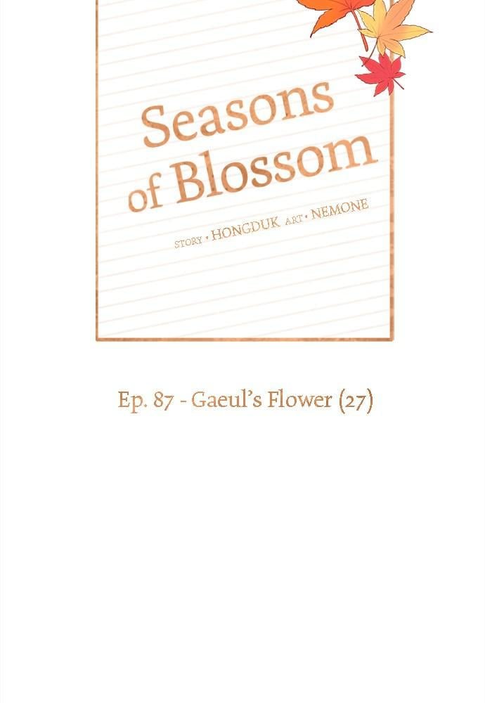 Seasons of Blossom