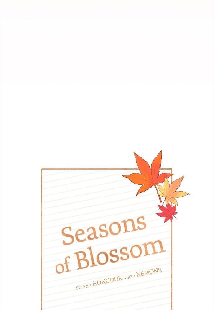 Seasons of Blossom