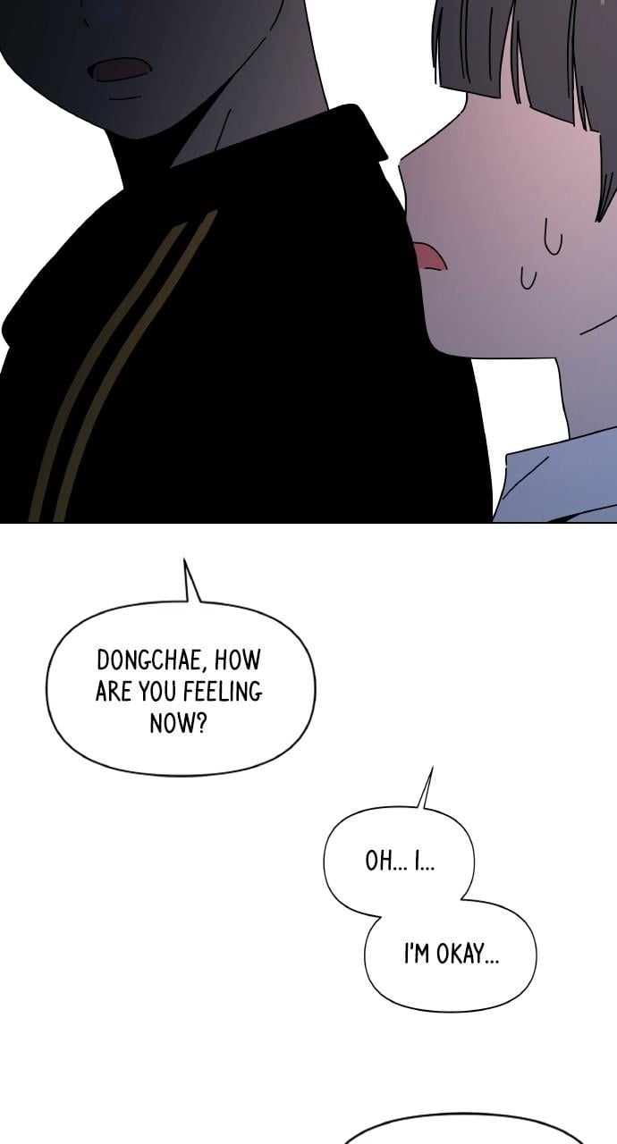 Seasons of Blossom
