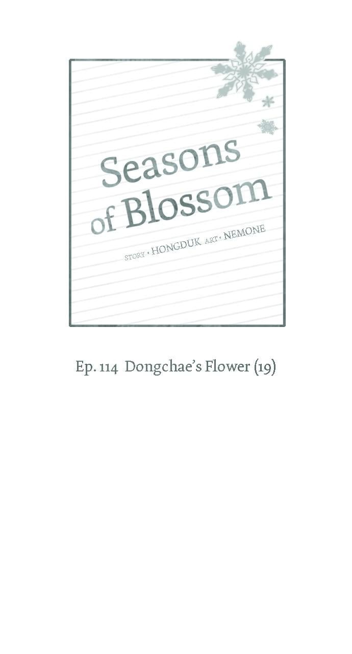 Seasons of Blossom