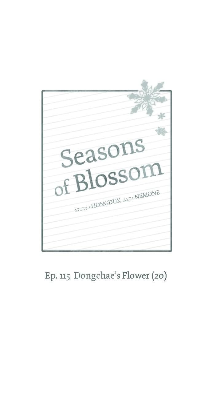 Seasons of Blossom