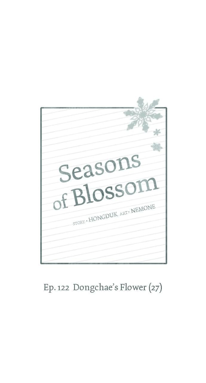 Seasons of Blossom