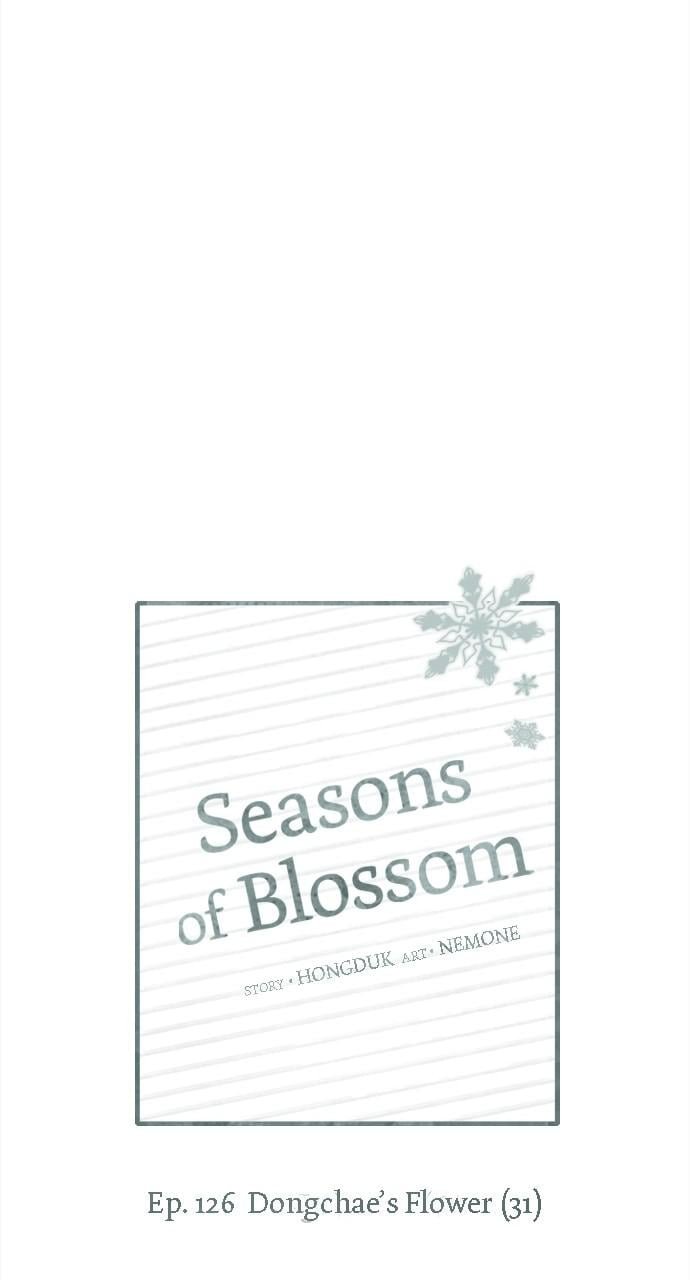 Seasons of Blossom